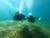 Scuba Diving Baptism in Lake Calafquén