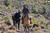 Horseback Ride to Condor Lookout in Cajón del Maipo