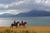 Horseback Riding in the Zañartu Peninsula: Patagonia Adventure