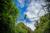 Experience Chiloé: Canopy and Treetop Circuit in Ancud