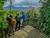 Connect with history and biodiversity on an immersive tour at Lago Calafquén