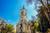 Elqui Your Way Tour: Explore the Valley with a Flexible Itinerary