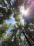 Wellness Journey in Nature