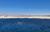 Cejar Lagoon: Floating in the Salar de Atacama