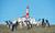 Sail to Magdalena and Marta Islands from Punta Arenas