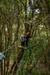 Aerial Park steps from Los Saltos del Laja: Slide into Adventure