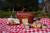 Picnic in the fields of the Emiliana Vineyard in Casablanca