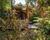 Relax in Palena: Sauna on the Scenic Carretera Austral