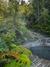 Relax at Termas de Pichicolo: Natural Hot Springs in the Carretera Austral