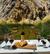Mountain Hot Springs from Vicuña with Local Tastings