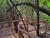 Valdivian Rainforest Immersion: Nature and Discovery